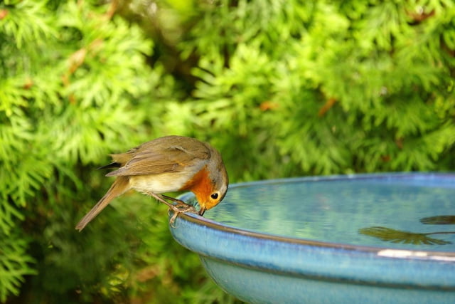 Basteln für mehr Leben im Garten